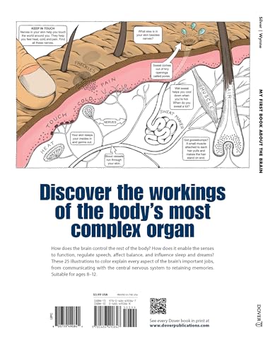 My First Book About The Brain