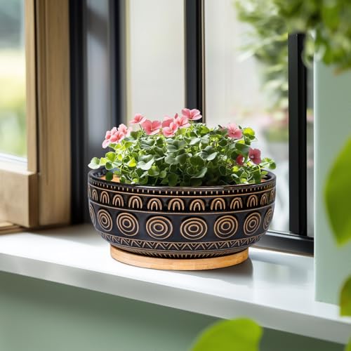 Eightpot Bonsai-Blumentöpfe aus Keramik, 20,3 cm, rund, für Sukkulenten und Zimmerpflanzen, niedriger Topf mit Drainageloch und Tablett… – Ansicht 5