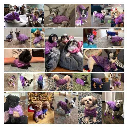 Image of Cotton Blend Pet Dog Classic Knitwear Sweater Warm Winter Puppy Pet Coat Soft Sweater Clothing for Small Dogs (S, Purple), 1 Count