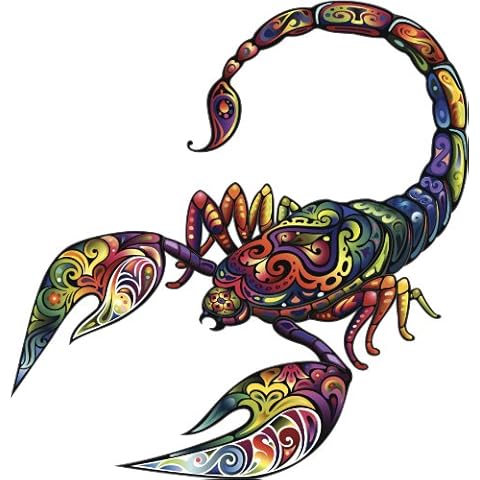 Divine Designs Detailed Colorful Floral Scorpion Black Purple Pink RED Green Blue Orange Yellow Grey Vinyl Decal Sticker Two in One Pack (4 Inches Tall) Cover