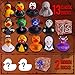 Intever Advent Calendar 2025 - Horror Rubber Duckies - 13 Days of Spooky Countdown with 2 Hidden Figures | Halloween and Christmas Collectible Rubber Ducks