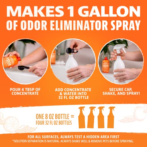 Angry Orange HRES43VDVS Pet Odor Eliminator For Home - 8Oz Dog And Cat Pee Smell Remover For Carpet thumb #1