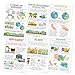 Quarterhouse 6 Poster Five Themes of Geography Set, Social Studies Classroom Learning Materials for K-12 Students and Teachers, 12 x 18 Inches, Made in USA
