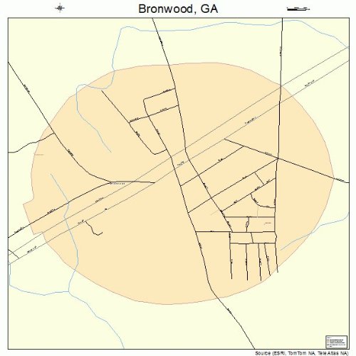 Large Street & Road Map of Bronwood, GA Printed poster size wall atlas of your home