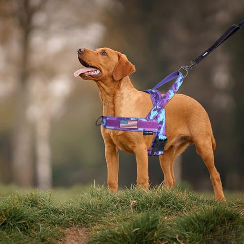 Annchwool B-415 No Pull Dog Harness With Soft Padded Handle,Escape Proof And Quick Fit To Adjust Dog Harness,Easy thumb #6