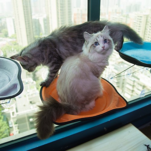 D.Jane Cat Window Bed Hammock Window Mounted Cat Perch Sunny Seat for Small Indoor Cat up to 28 lb with Suction Cups Orange