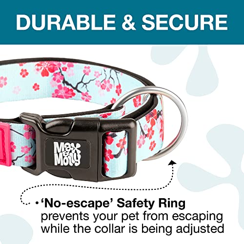 Max & Molly Gotcha! Hundehalsband Halsband Hund mit Smart ID, gepolstertes Neopren Halsband mit Design für kleine Hunde, wasserdicht, bequem, verstellbar, Cherry Bloom, S