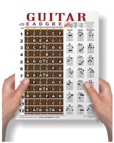 Guitar Chord Chart 21 Chords & Fretboard Note Map Laminated Chart 8.5x11