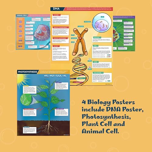 Image of Hubble Bubble Kids Science Posters for Classroom Decoration - 4 Biology Posters include DNA Poster, Photosynthesis, Plant Cell and Animal Cell. Each Poster is 16x20 inches.