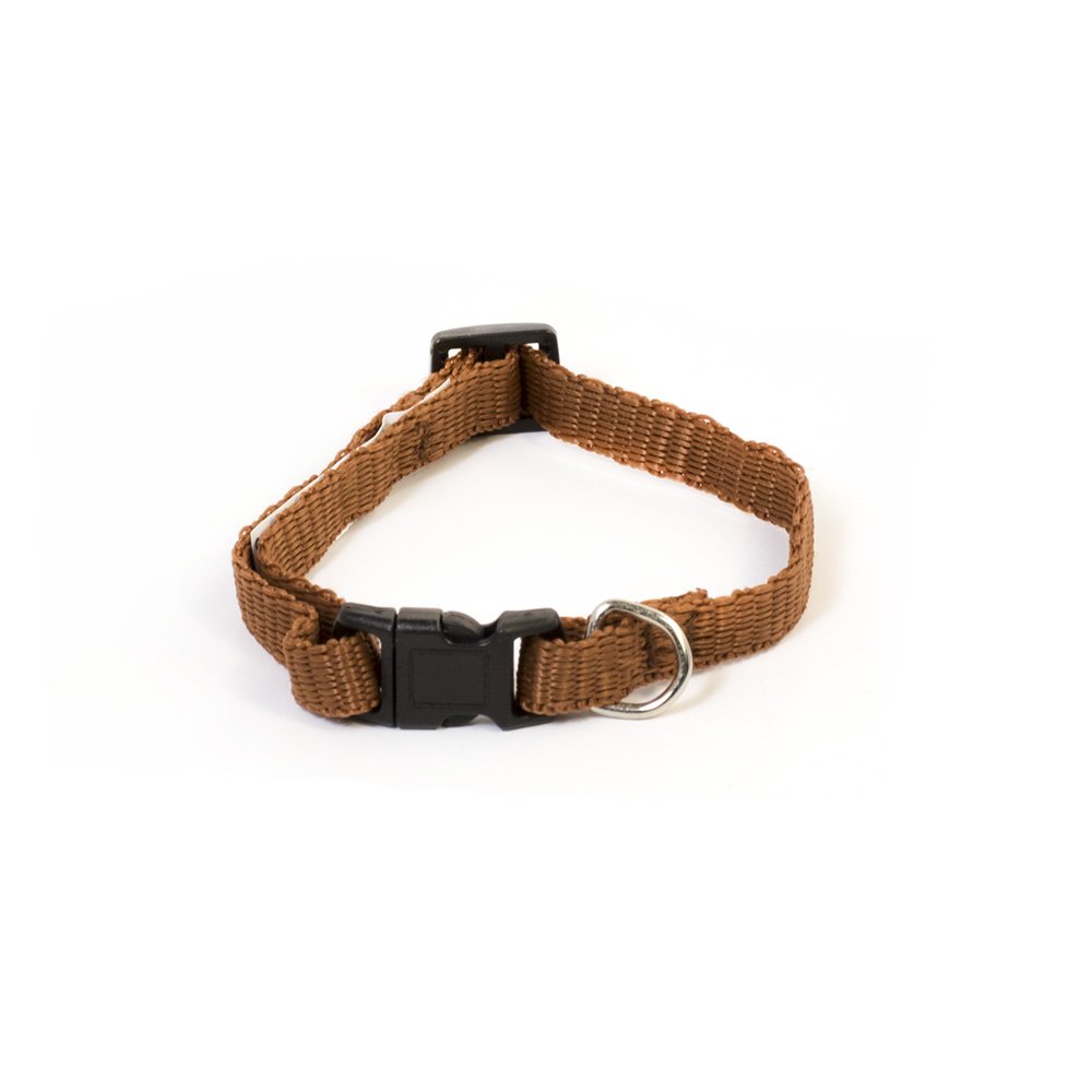 Pet Champion Basic No Pull Adjustable Dog Collar, Midnight Black, Small 3/8in x 8-12in