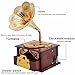 Fding Classical Trumpet Horn Turntable Gramophone Art Disc Music Box & Make up Case &Jewelry Box Home Decor (Brown)