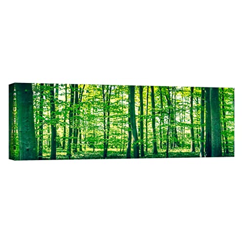 Tableau phosphorescent nature luminescente DCL100-4 idéal pour illuminer vos nuits, 40x120cm