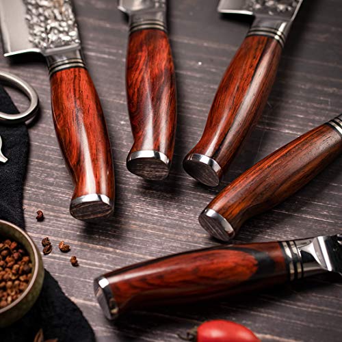 YARENH Kitchen Knife Set Without Block, 5 Piece Professional Sharp Chef