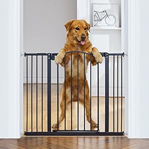 InnoTruth 29-39.6″ Baby Gate for Pets, Auto Close Both Sides Dog Gate with One-Hand Opening, 30″ Tall Safety Gates for Stairs, Hallways, Bedrooms, Wall Pressure Mount No Drill, Black
