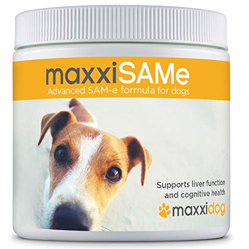 Best Glutathione Supplement For Dogs