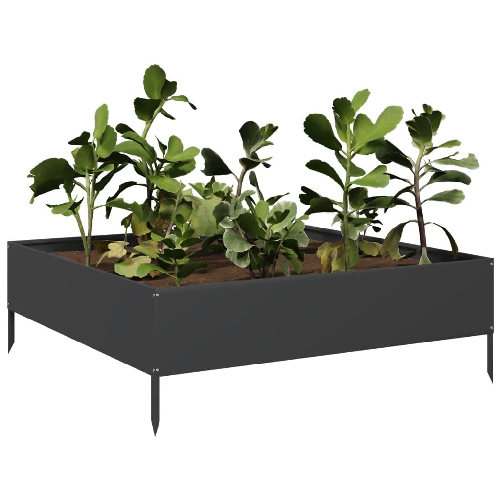 Black Raised Garden Bed 100 x 100 x 33,5 cm stalowy pojemnik na rośliny z otwartą podstawą na zioła, kwiaty, sukulenty, kaktusy i warzywa, nadaje się do ogrodu, patio, balcony i podwórka