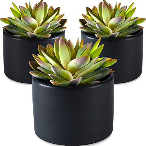 SEEKO Succulents Plants Artificial in Ceramic Pots (Pack of 3) - Realistic Fake Succulents for Modern Home Decor & Black Bathroom Decor (Black)