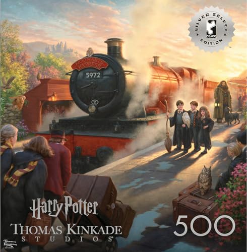 Rompecabezas Movie Harry Potter 14+ Anos