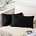 Topfinel Cojines Terciopelo Funda Cojin 40x60 cm Suaves Fundas Cojines Sofa Sólido Fundas de Cojines Soft Cama Jardin Sala de Estar Dormitorio Hogar Silla Juego de 2 Negro con Cierre