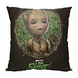 NORTHWEST Guardians of The Galaxy Pillow, 18' x 18', Groot Frame