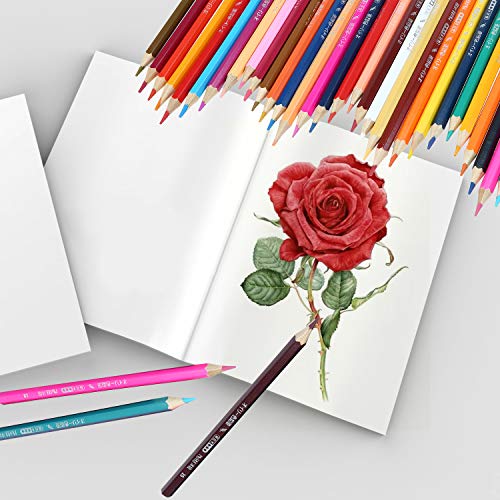 Loijon Conjunto Profissional com 72 Lápis de Cor