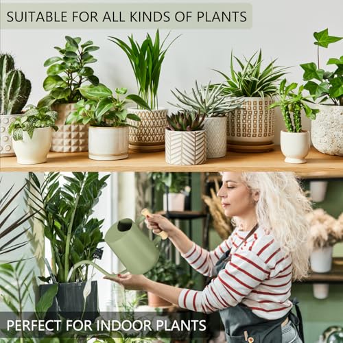 Image of Watering Can Indoor Plants, 35oz Small Indoor Stainless Steel Metal Watering Can Modern Decorative Watering Pot with Long Spout for Indoor House Plant Bonsai Garden Flowers (Sage Green)