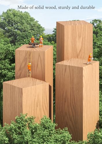 Porte-Manteau en Bois Robuste de Qualité Supérieure avec Base Rectangulaire