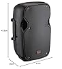 VECTOR by HH Electronics - VRE-8AG2 - Portable 300 W 8 inch 2-way active speaker with 2 Ch mixer, Bluetooth V5.0, SD & USB #5