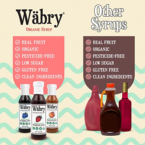 Image of Wabry Organic Fruit Syrup - 3 Pack, Strawberry, Blueberry and Peach Syrups for Drinks, Pancakes, Tea, Shaved Ice & Ice cream, Dye-Free, Non-GMO Natural Fruit Snow Cone Syrup, BPA-Free Plastic Bottle