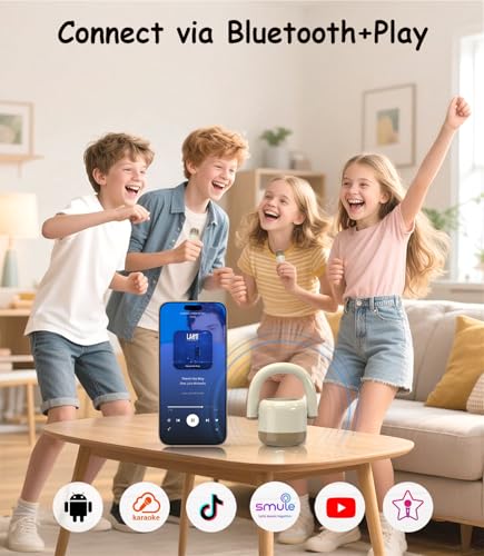 Portable Bluetooth Karaoke Microphone