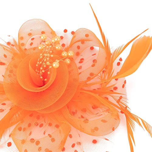 Image of DRESHOW Fascinators Hat Flower Mesh Ribbons Feathers on a Headband and a Clip Tea Party Headwear for Girls and Women