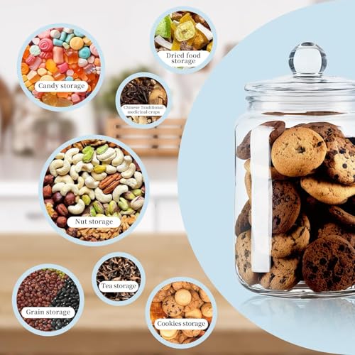 Image of bellemax 700ML Clear Glass Storage Jar With Air Tight Glass Lids- Airtight Food Jars Glass Kitchen Containers For Pantry, Pickle Jar, Sugar Pasta Cereal Flour Sugar Storage Jar (BM-08, Set of 2)