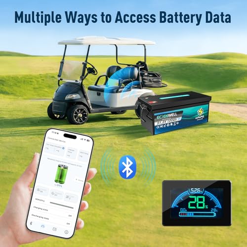 Image of 48V(51.2V) 100Ah Golf Cart Lithium LiFePO4 Battery with Bluetooth&APP, 15000+ Deep Cycle Battery with LCD Monitor, EV A+ Rated Cells Batteries with 200A BMS for Golf Cart, Lawn Mower, Solar System, RV