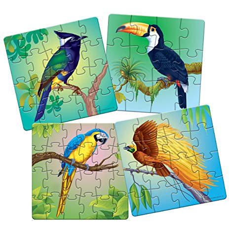 Image of Frank Exotic Birds Animal Kingdom - A Set of 4 Jigsaw Puzzle for Kids Above 4+ Years - Fun & Challenging Brain Booster Games - Educational Puzzle for Focus and Memory - 11606