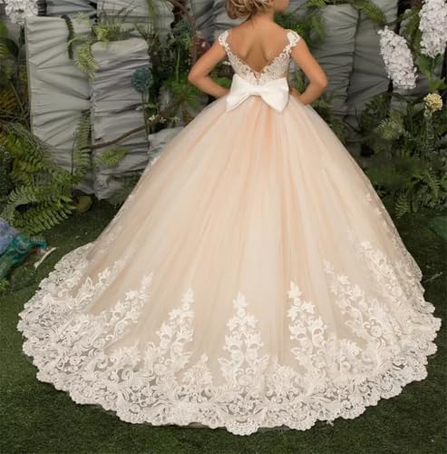 Flower Girl Dresses for Wedding Lace Princess Pageant Dresses Birthday Party Ball Gown Backless First Communion Dress3