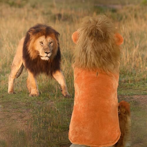 Nacoco SZBSZ24 Dog Halloween Lion Costume thumb #7