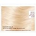 L'Oreal Paris ExcellenceAge Perfect Layered Tone Flattering Color, 10G Very Light Soft Golden Blonde (Packaging May Vary), 0.35 Ounce