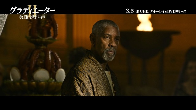 Amazon.co.jp: グラディエーターII 英雄を呼ぶ声 4K Ultra HD+