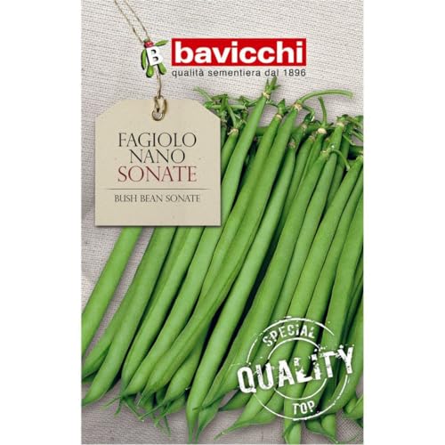 Bavicchi semi fagiolo nano sonate 250g