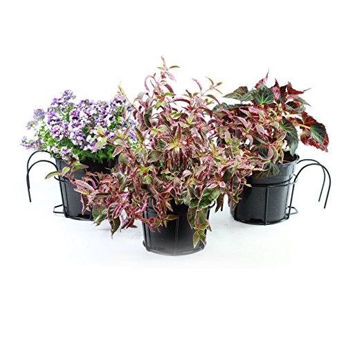 Macetas para balcón de hierro forjado negro pack de 3 maceteros 24cm 2