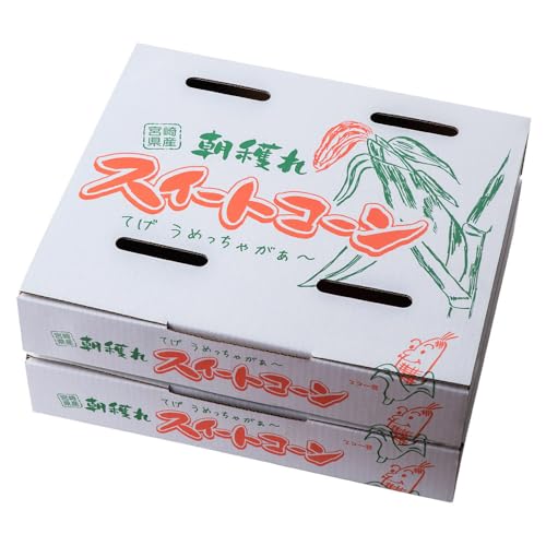 宮崎県川南町 [令和8年発送]宮崎県産 とうもろこし 朝どれ!守部さんちのゴールドラッシュ 5kg スイートコーン 11〜15本