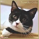 tuxedomoon no tears lyrics  Tuxedo Cats 2021 Calendar: Official Tuxedo Cats Calendar 2021, 18 Months