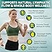 Lymphatic Drainage Supplements, 4275mg Lymph System Support Supplement for Women & Men, Daily Wellness Support, 21-in-1 Herbal Blend with Echinacea, Dandelion, Burdock, Turmeric & More, 240 Softgels