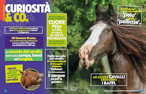 A Ciascuno Il Suo Cavallo! La Guida Più Divertente Per Scoprire Tutto Sui Cavalli. Ediz. A Colori - 9