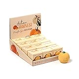 Brightium Pumpe - Kompakte Badebombe, elegantes Design, inklusive Geschenkbox, ideal für Entspannung und Spa zu Hause, einfach zu bedienen und zu transportieren.