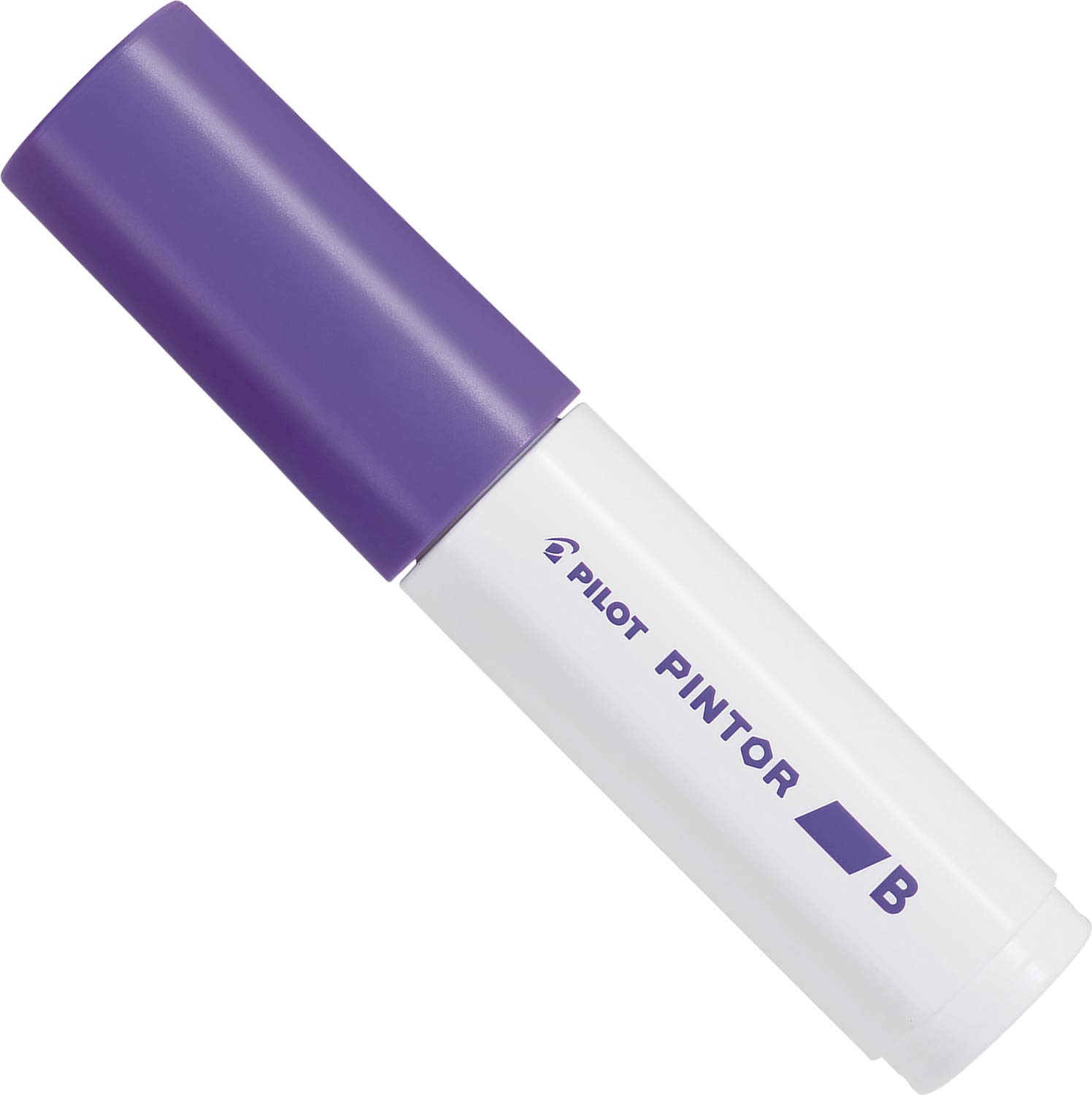 Pilot Pintor B, Mor
