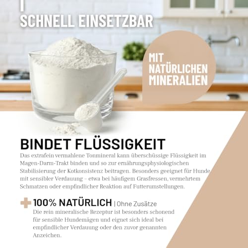 ReaVET Magenmild Pulver für Hunde 500g – Magen & Darm Unterstützung bei empfindlichem Hundemagen, Neigung zu Durchfall oder Sodbrennen I mit Bentonit Heilerde, naturrein