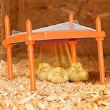 Brutplatte für Küken, 35,6 x 27,9 cm, einstellbare Temperatur und Höhe, Heizplatte für Hühner mit Anti-Rost-Kegel, leicht zu reinigender Geflügelstallheizung für bis zu 18–22 Küken, Orange