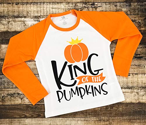 Unique Baby Boys Long Sleeve Raglan Graphic T-Shirt for Toddlers and Kids3