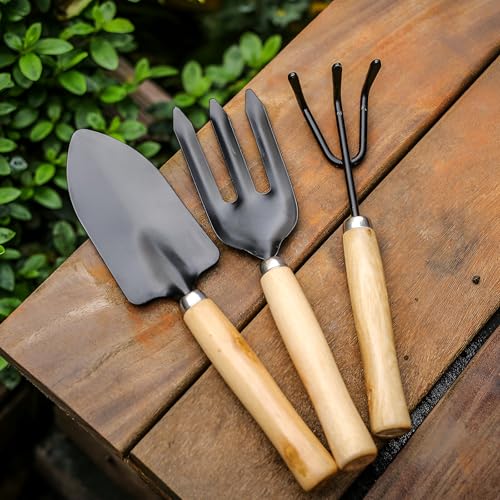 Image of Go Garden 3 Pcs Gardening Hand Tool Kit for Home Gardening | Hand Cultivator, Trowel, Transplanter | Perfectly Sized for Home Garden | Ideal for Flower Pots and Lawns